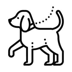 Ícono de entrega del cachorro